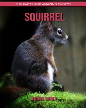 Squirrel: Fun Facts and Amazing Photos