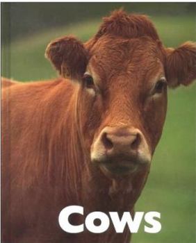 Library Binding Cows Book