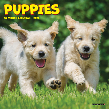 Mini-Disc Puppies Mini Wall Calendar Book