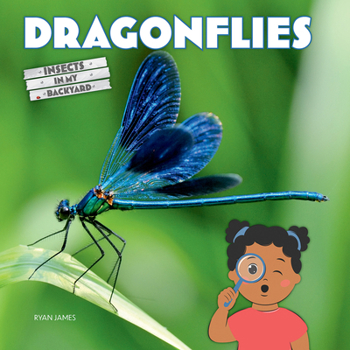 Paperback Dragonflies Book