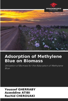 Paperback Adsorption of Methylene Blue on Biomass Book