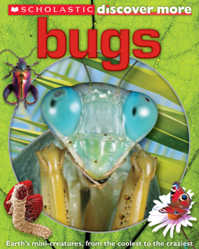Bugs - Book  of the Scholastic Discover More