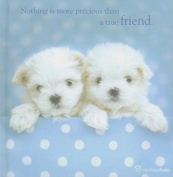Hardcover Nothing Is More Precious Than a True Friend Book