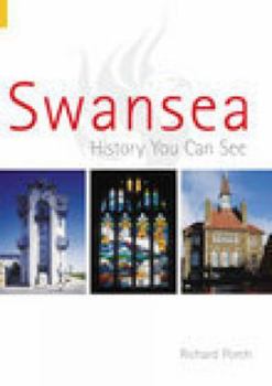 Paperback Swansea: History You Can See Book
