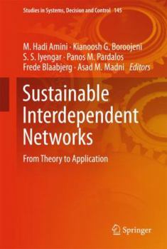 Hardcover Sustainable Interdependent Networks: From Theory to Application Book