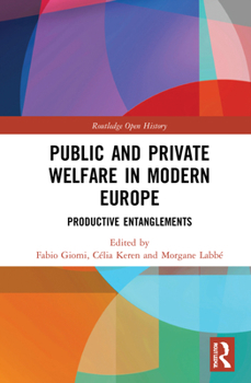 Hardcover Public and Private Welfare in Modern Europe: Productive Entanglements Book