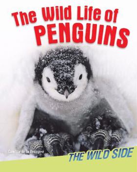 Paperback The Wild Life of Penguins Book
