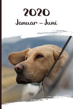 Kalender 2020: Labrador Retriever Hunde Tageskalender 1. Halbjahr Januar Juni ca DIN A5 weiß über 190 Seiten (German Edition)