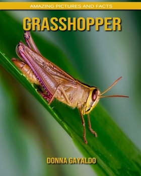 Grasshopper: Amazing Pictures and Facts