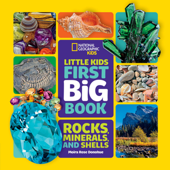 Hardcover Little Kids First Big Book of Rocks, Minerals & Shells Book