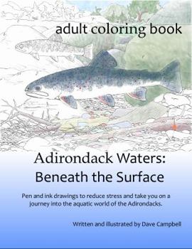 Paperback Adirondack Waters: Beneath the Surface Book