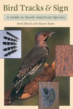 Paperback Bird Tracks & Sign: A Guide to North American Species Book