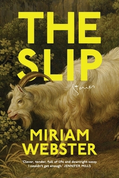 Paperback The Slip Book