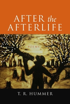 Paperback After the Afterlife: Poems Book