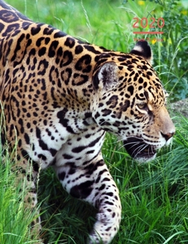 2020 A4 Diary Week To View Planner For All Occasions: | Year Planner For Business, Office, Home, University, College, School, Appointments, Organizer.