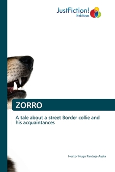 Paperback Zorro Book