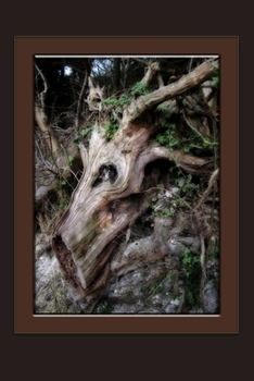 Paperback Tree Pareidolia Notebook: Notebook, Journal, Gift Book (Trees and Woods Notebooks) Book