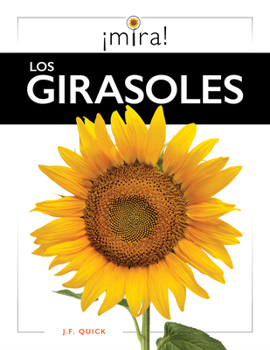 Paperback Los Girasoles [Spanish] Book