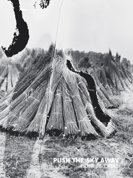 Hardcover Push the Sky Away Book