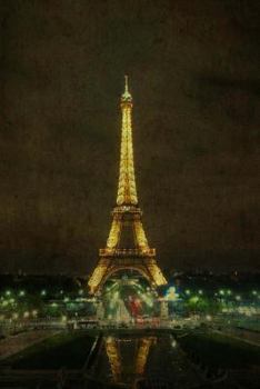Paperback Paris: Eifel Tower Book