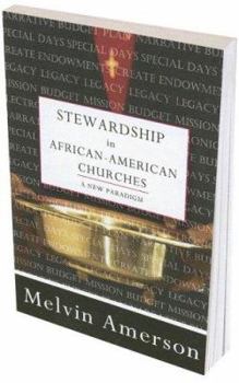 Paperback Stewardship in African-American Churches: A New Paradigm Book