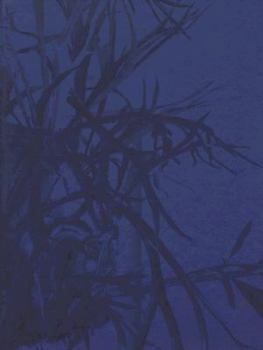 Hardcover Artificial Light: New Light-Based Sculpture and Installation Art Book