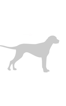 Paperback Dog Minamilist Journal: Dog Journal Book