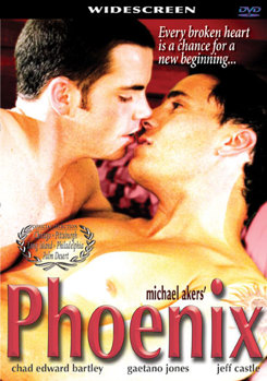 DVD Phoenix Book