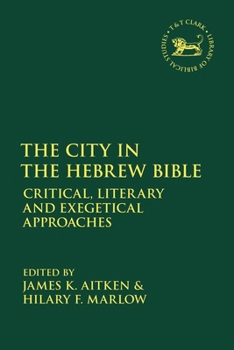 Paperback The City in the Hebrew Bible: Critical, Literary and Exegetical Approaches Book