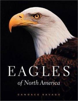 Paperback Eagles of North America Book