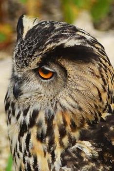 Eurasian Eagle Owl Portrait Journal : 150 Page Lined Notebook/diary