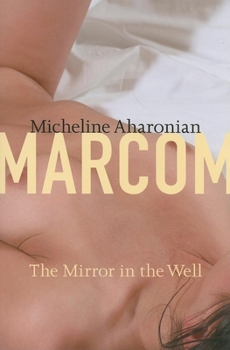 Paperback Mirror in the Well Book