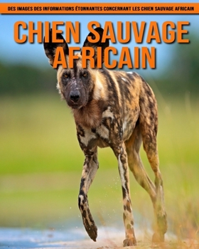 Chien Sauvage Africain: Des Images des Informations Étonnantes Concernant les Chien Sauvage Africain