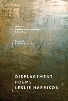 Paperback Displacement Book