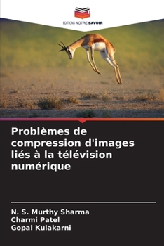 Problèmes de compression d'images liés à la télévision numérique (French Edition)
