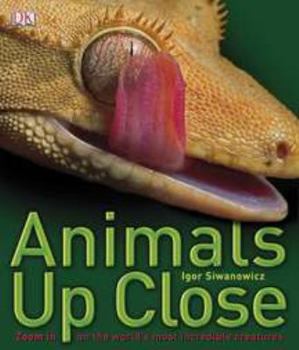 Hardcover Animals Up Close: Zoom in on the World's Most Incredible Creatures Book