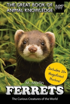 Paperback Ferrets: The Curious Creatures of the World Book