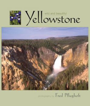 Hardcover Yellowstone Wild and Beautiful Book
