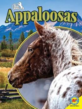 Paperback Appaloosas Book