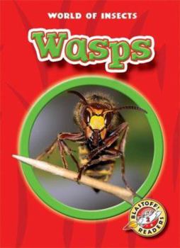 Wasps ((Blastoff! Readers) (World of Insects) (Blastoff! Readers World of Insects) - Book  of the World of Insects
