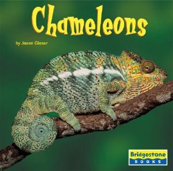 Library Binding Chameleons Book