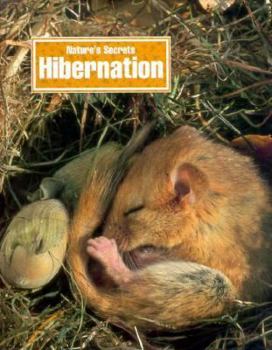 Library Binding Hibernation: Nature's Secrets Book