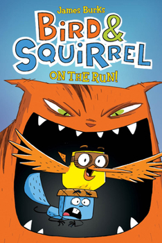 Paperback Bird & Squirrel on the Run!: A Graphic Novel (Bird & Squirrel #1) Book