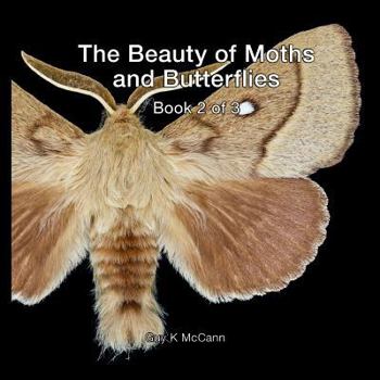 Paperback The Beauty of Moths and Butterflies: Book 2 of 3 Book