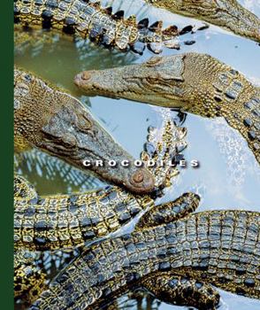 Library Binding Crocodiles Book