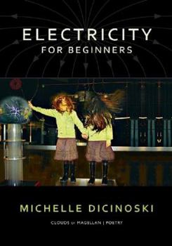Paperback Electricity for Beginners Book