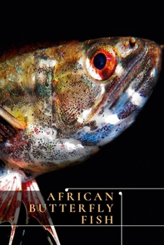 African Butterfly Fish: (Pantodon buchholzi) Care Sheet