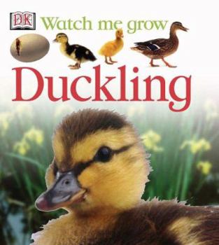 Duckling (Watch Me Grow) - Book  of the DK Watch me grow