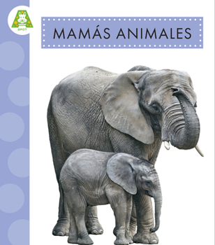Hardcover Mamás Animales [Spanish] Book