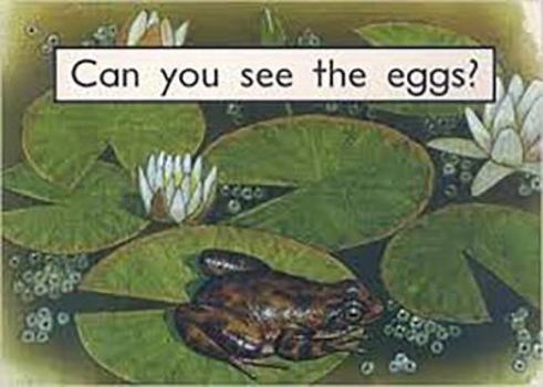 Misc. Can You See the Eggs?: Leveled Reader Bookroom Package Magenta (Levels 1-2) Book